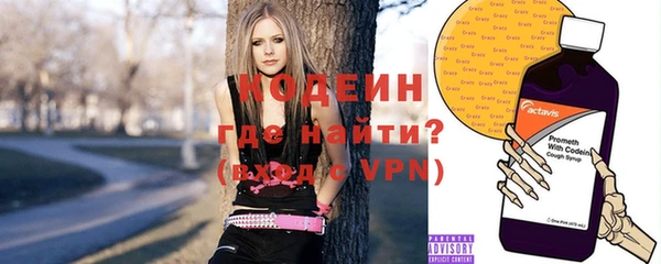 индика Арсеньев