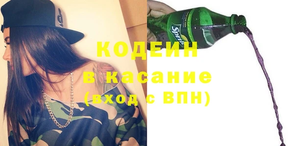 индика Арсеньев