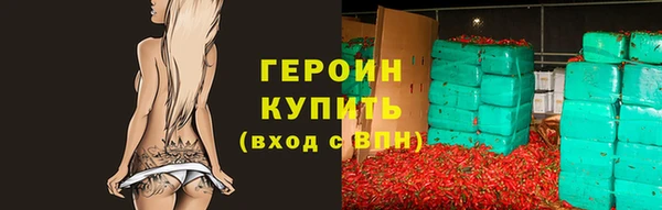 индика Арсеньев