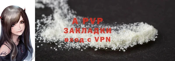 индика Арсеньев