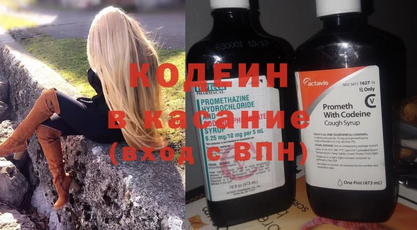 индика Арсеньев