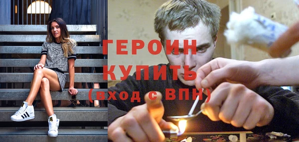 индика Арсеньев