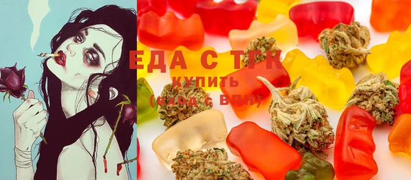 индика Арсеньев