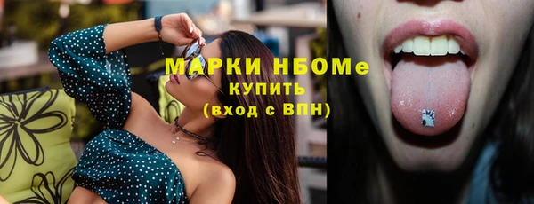 индика Арсеньев