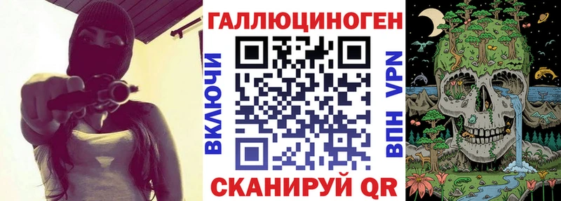 Галлюциногенные грибы Psilocybine cubensis  Сычёвка 